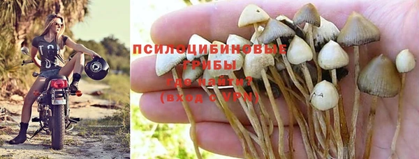не бодяженный Аркадак