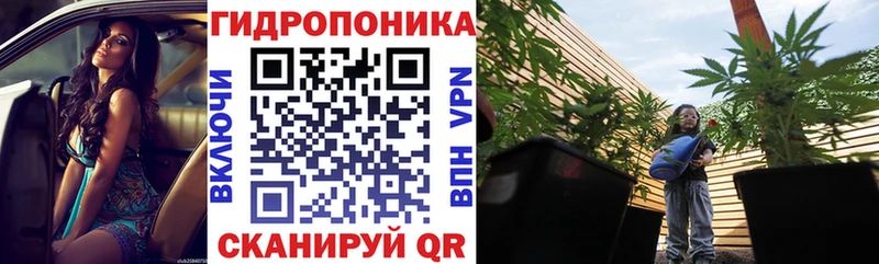 Канабис планчик  Кремёнки 